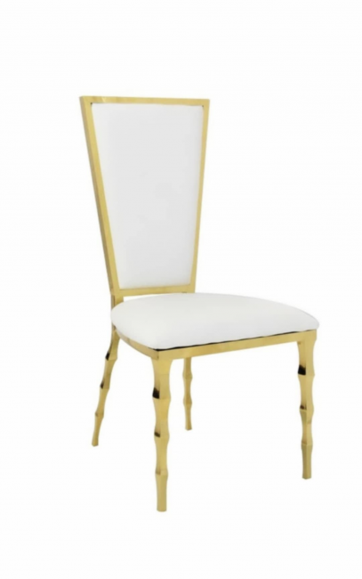 Modern chair with gold frame