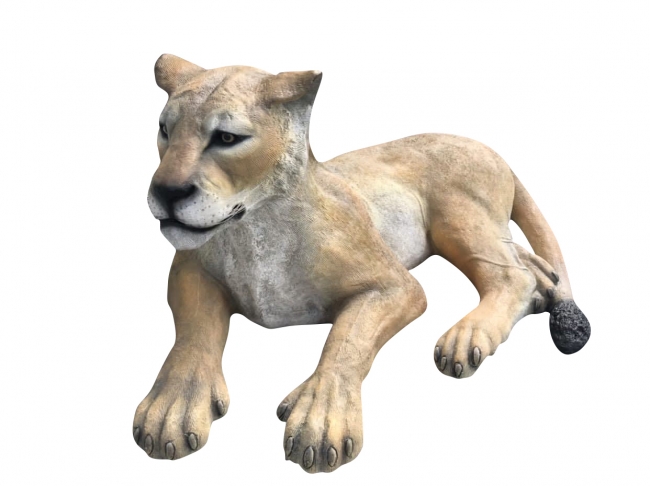 Realistic lioness figure in repose