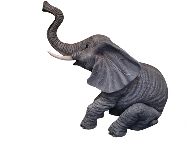 Playful elephant on white background