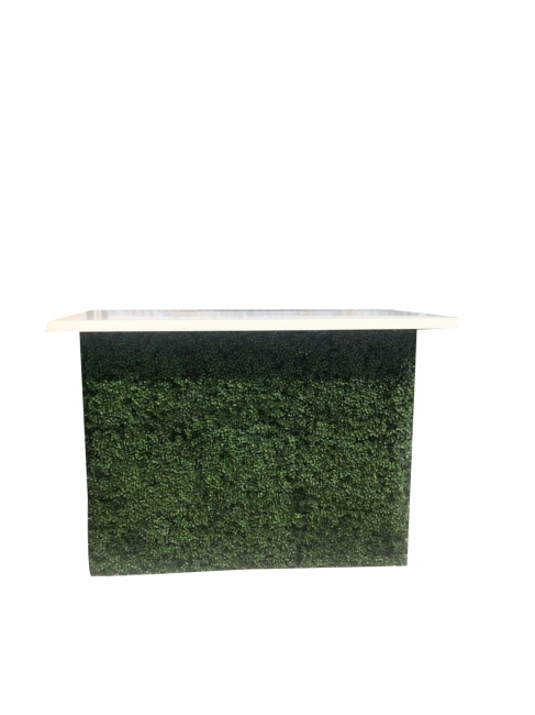 Modern table with grass-covered front