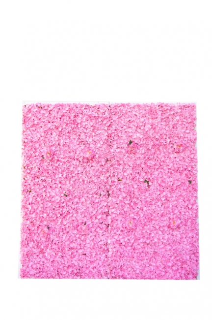 Pink flower petal arrangement square