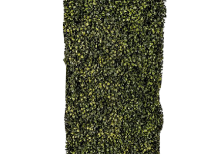 Vertical green mossy texture