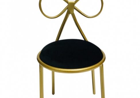 Elegant chair with black seat cushion