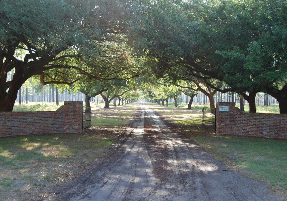 Rustic gated driveway with trees