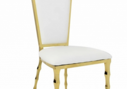 Modern chair with gold frame