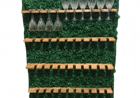 Wooden shelf with glasses on greenery