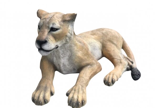 Realistic lioness figure in repose