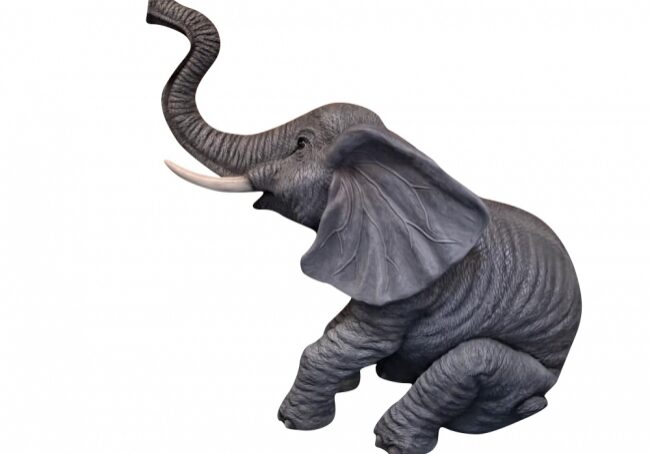 Playful elephant on white background