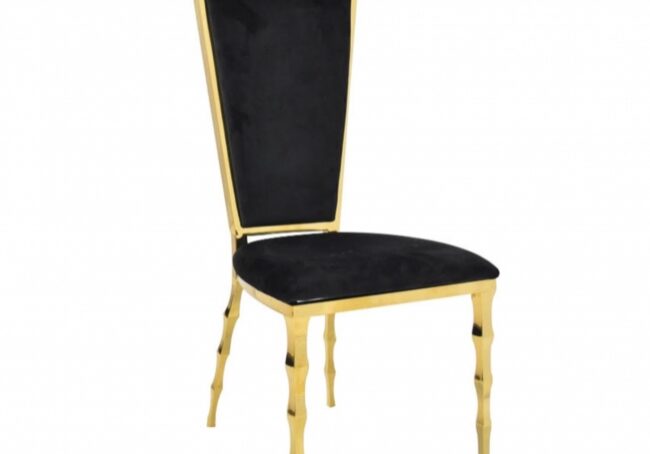 Stylish chair with black upholstery