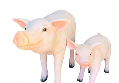 Adult and baby pig statues