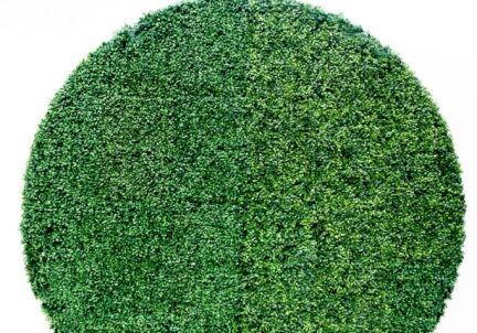 Greenery circle backdrop on display